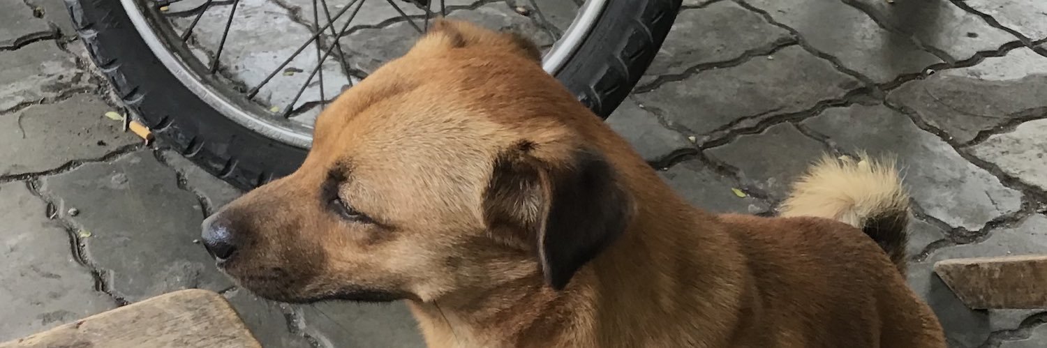 どっぐたうん~ Dog Town ~ banner