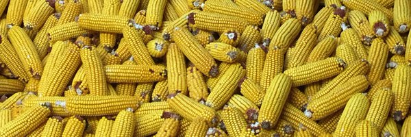 jim_schweigert Profile Banner