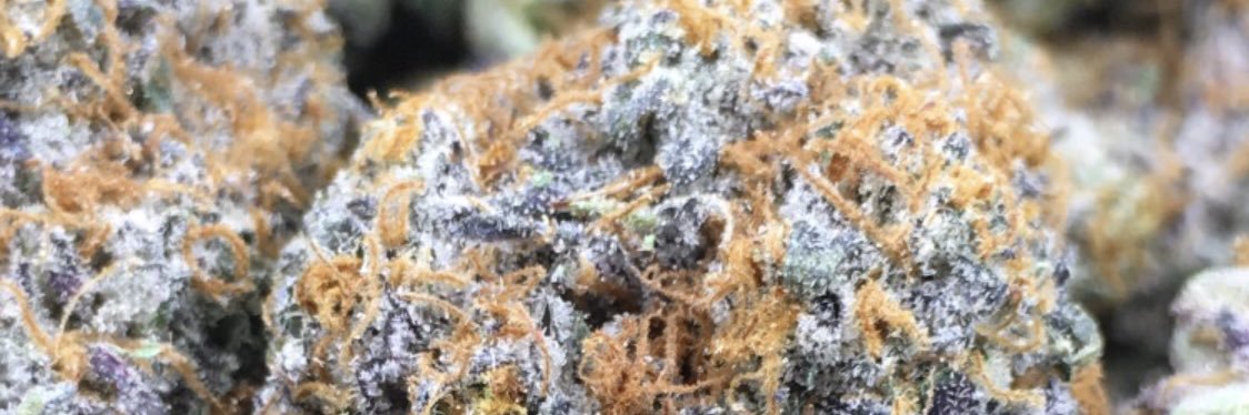 Connected Cannabis Co. banner