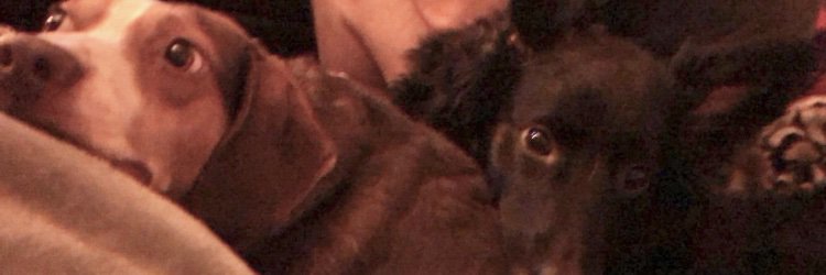 KayBaybee10's profile banner image
