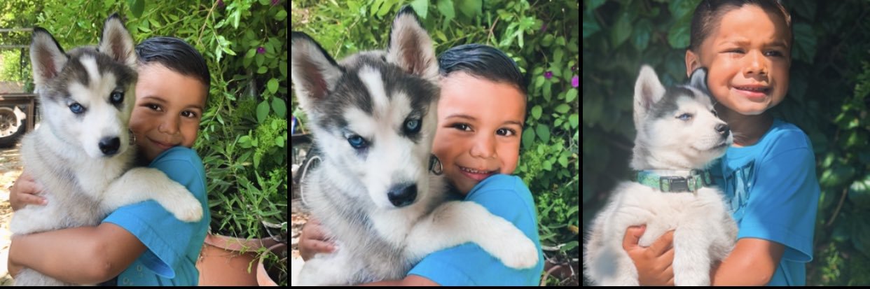 francetoofancyy's profile banner image