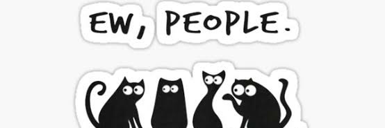 maale2591's profile banner image