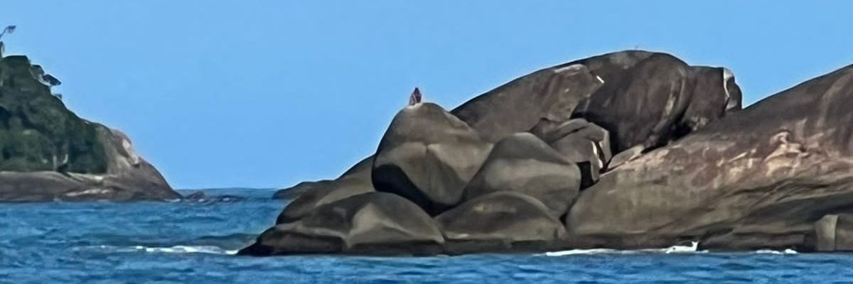 gui_npc's profile banner image