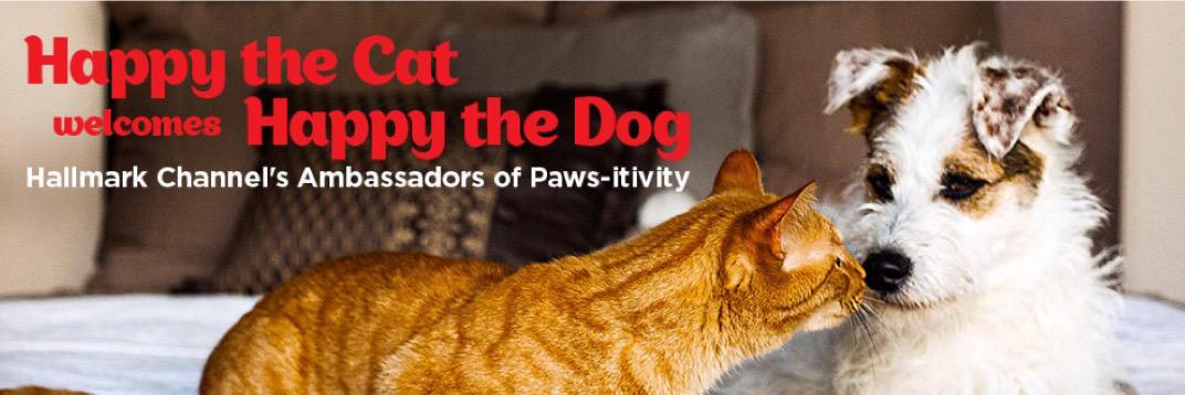 HappyCatandDog's profile banner image