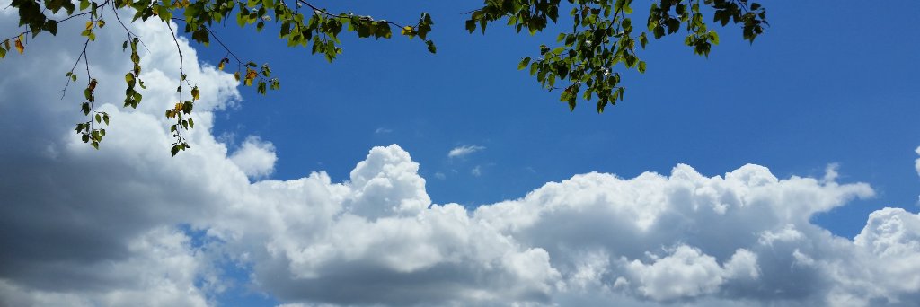 Tonya Phillips banner