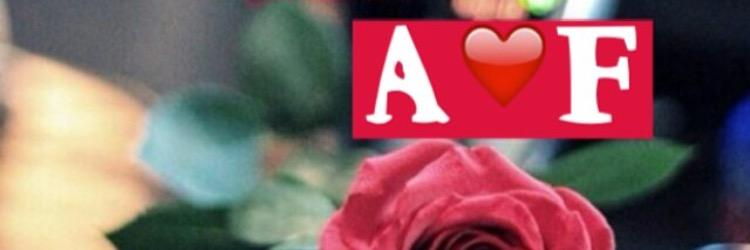 FaFtom133's profile banner image