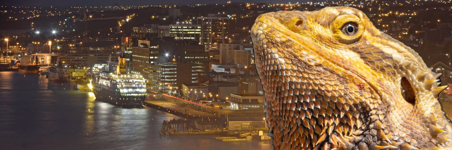 The Happy Pack banner