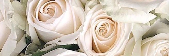 JulietOzan's profile banner image