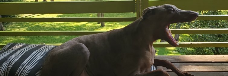 RandyGrommet's profile banner image