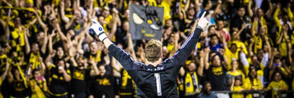 Steve Clark banner