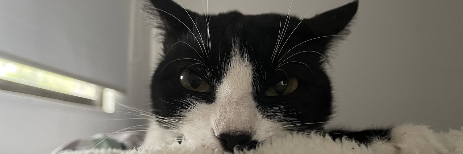 ayhtnic___'s profile banner image