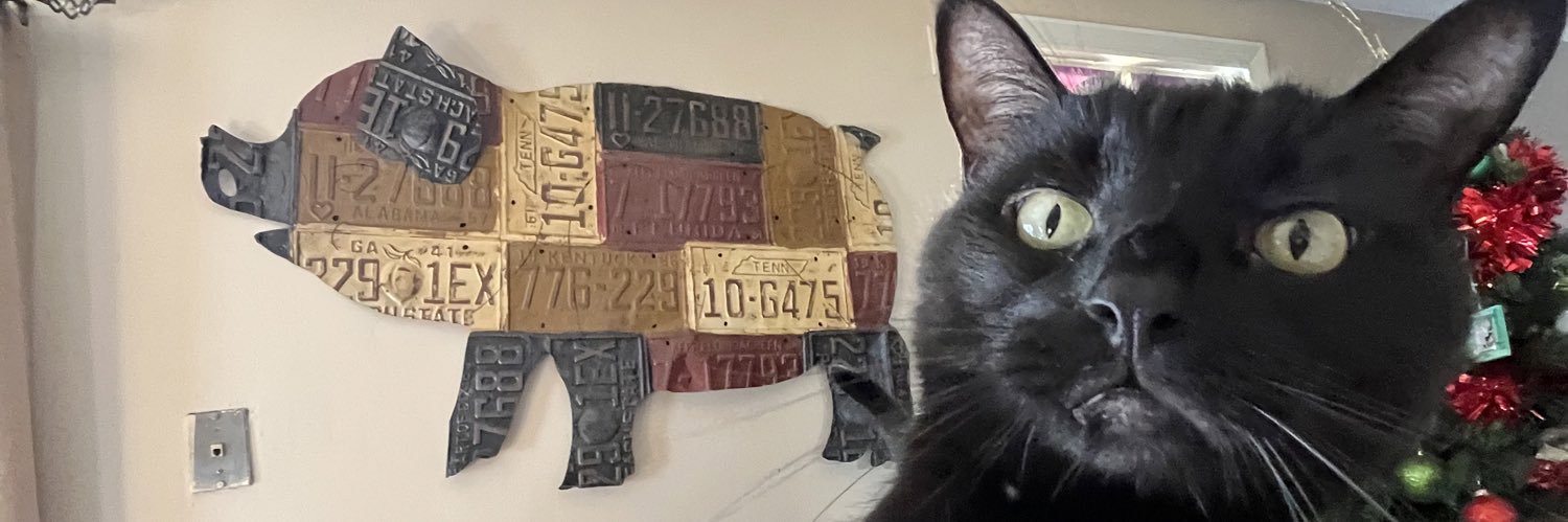 CollinJacobs_3's profile banner image