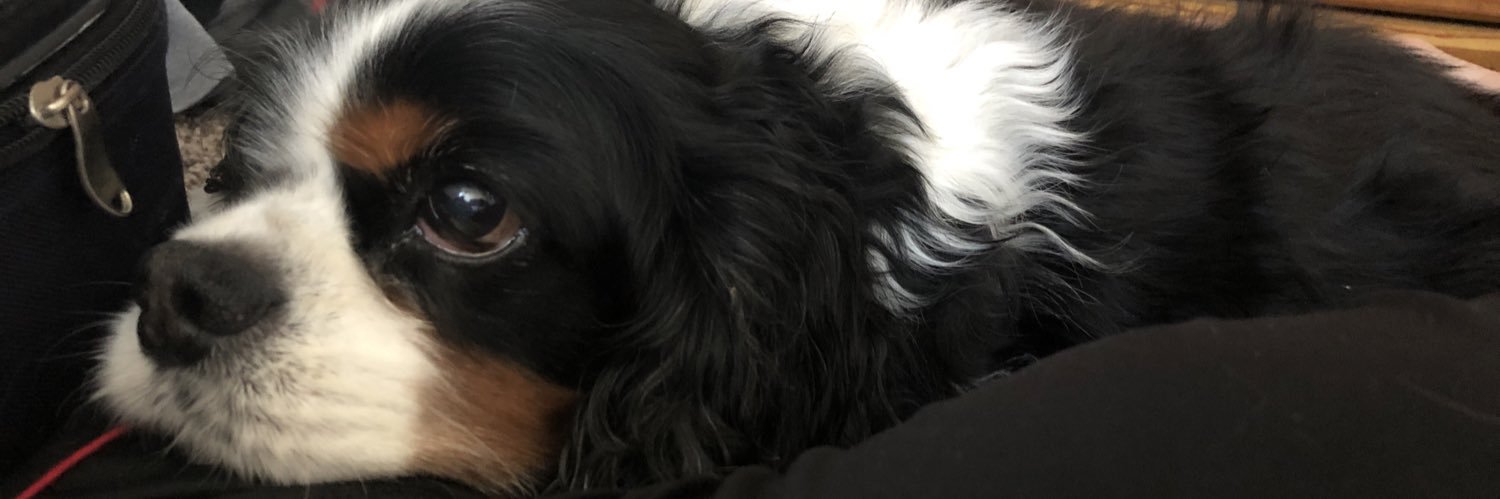 Jamie Kavanagh banner