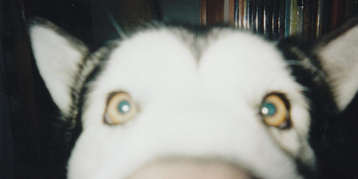 Jota en la Mazmorra banner