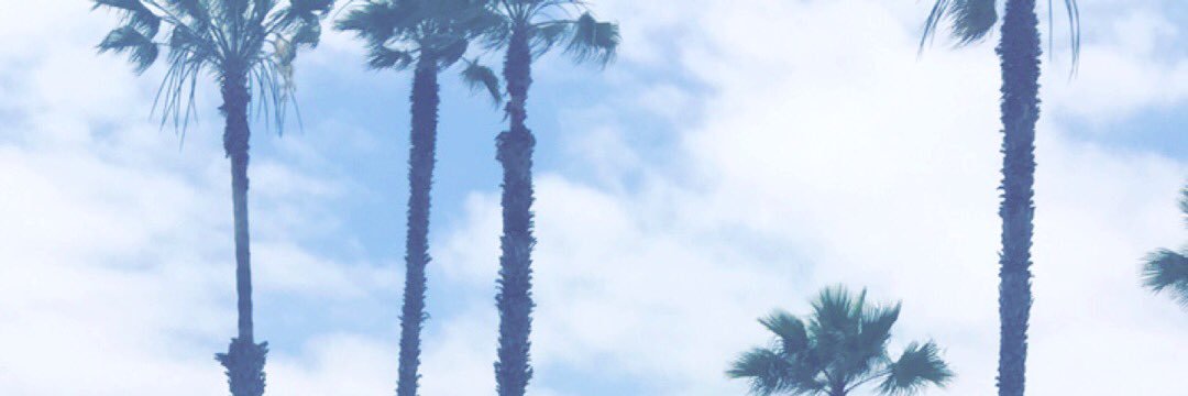 FlexHuncho's profile banner image