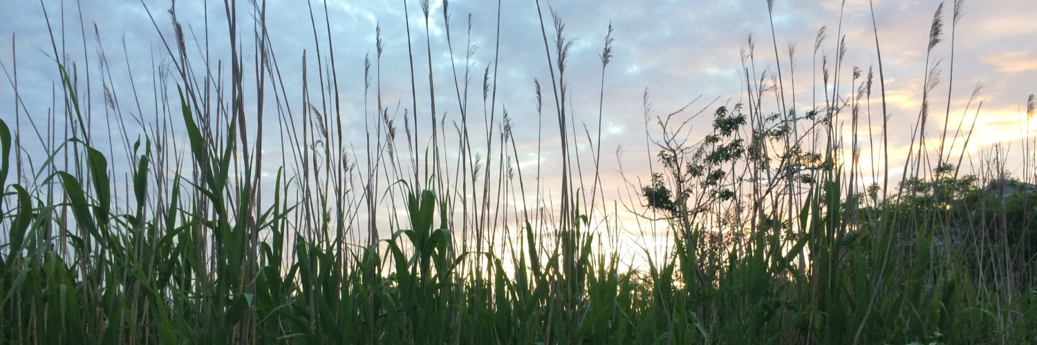 ColleenLeGoff's profile banner image