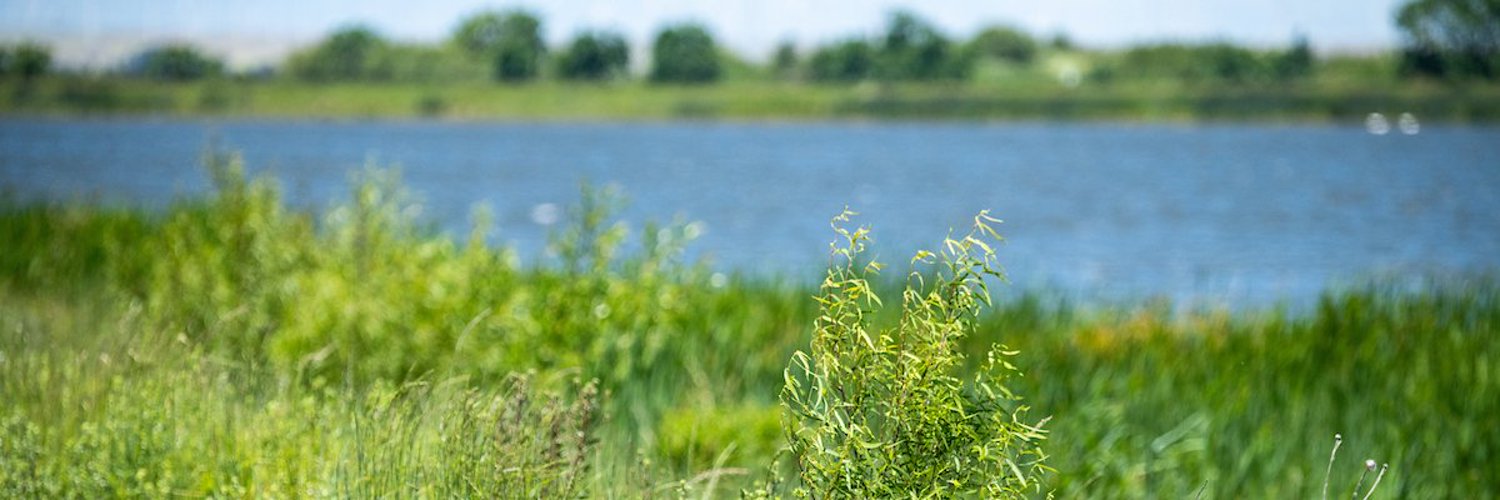 Delta Stewardship Council Profile Banner