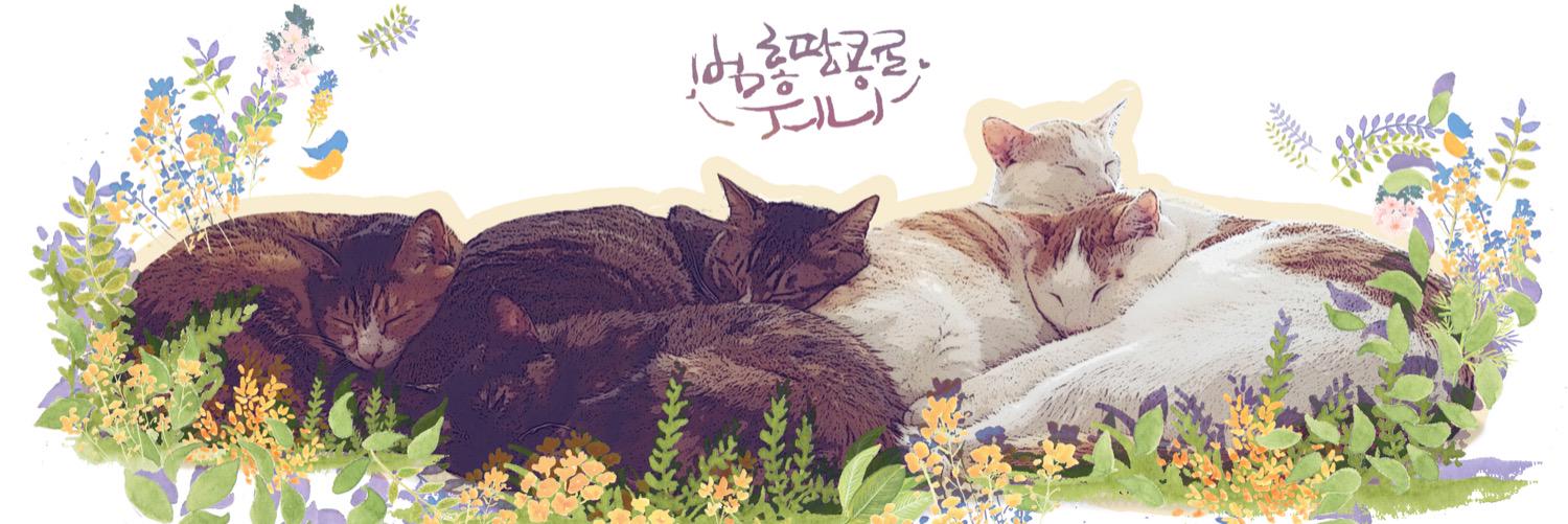 qjaghd's profile banner image