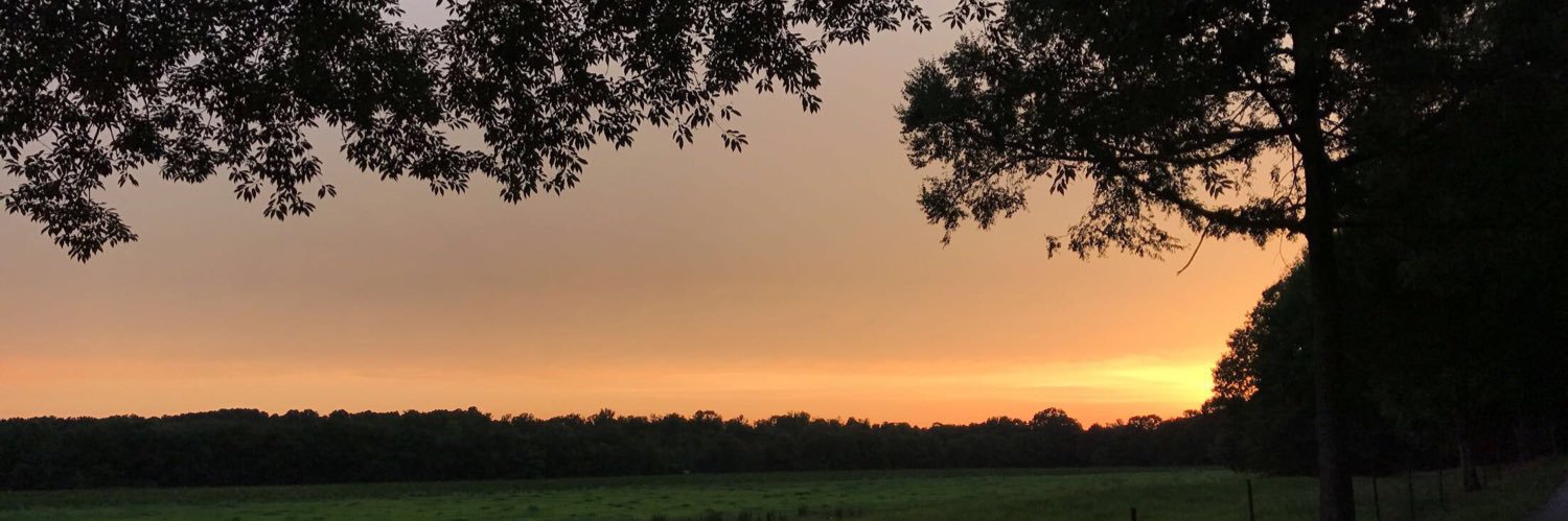 jbethwest's profile banner image