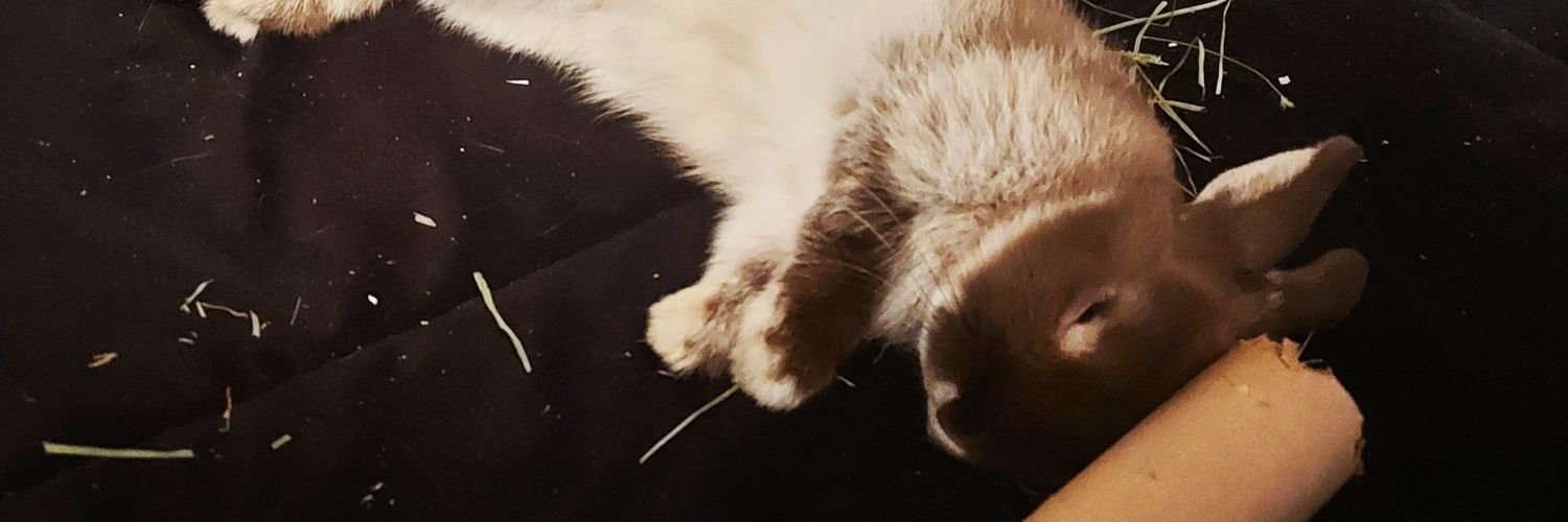 QueenMariee93's profile banner image