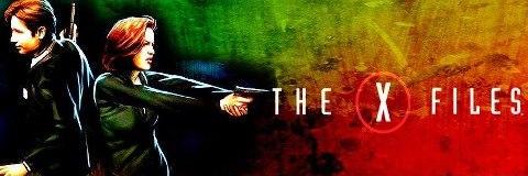 col-lee-flower banner