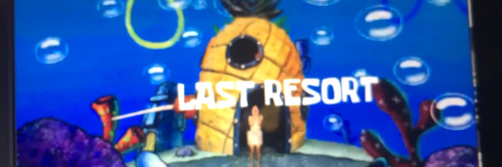 Stanley j. Leveille banner