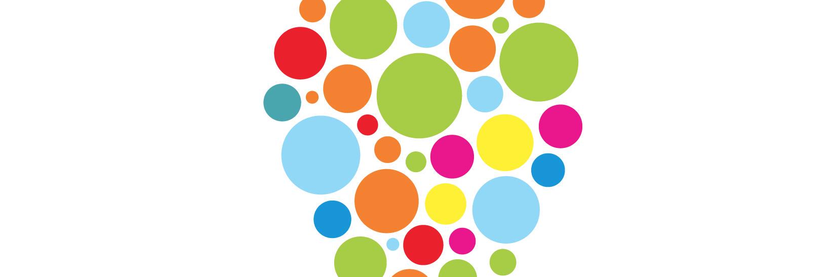 IDEA Schools Network banner