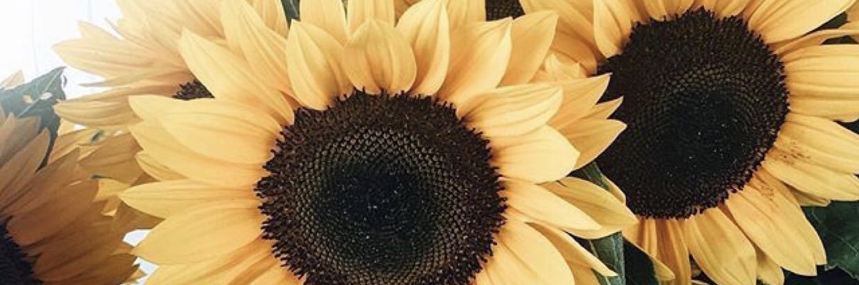 dopeeasstee's profile banner image
