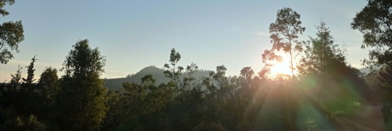 BIDA1121's profile banner image