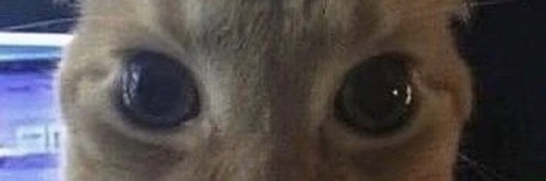 florpson's profile banner image