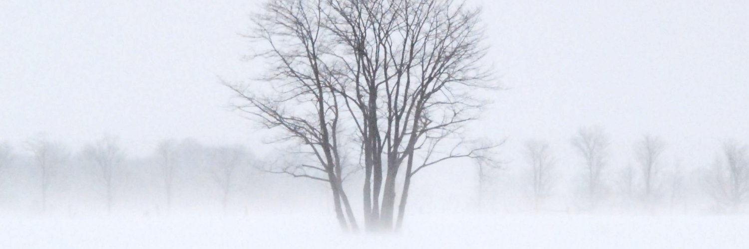 ItsSko's profile banner image
