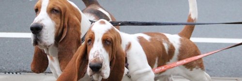 k0903pd5's profile banner image