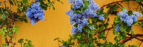 valvalcherry's profile banner image
