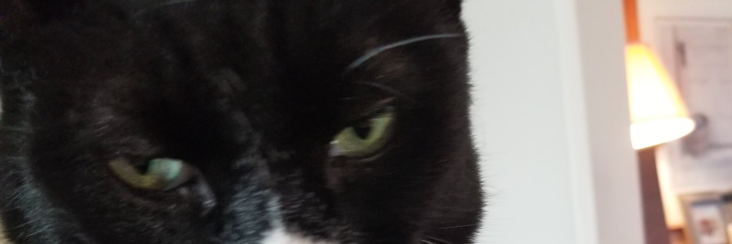 dombrova22's profile banner image