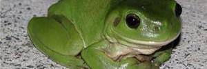 Toad562's profile banner image