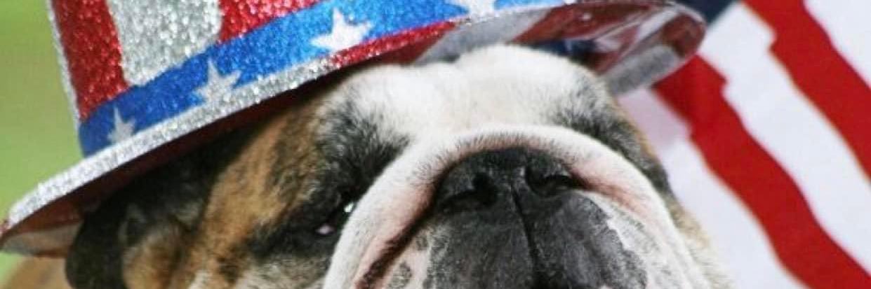 TAndrews1323's profile banner image