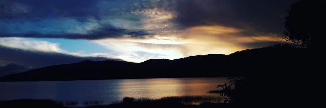 angiemvc's profile banner image
