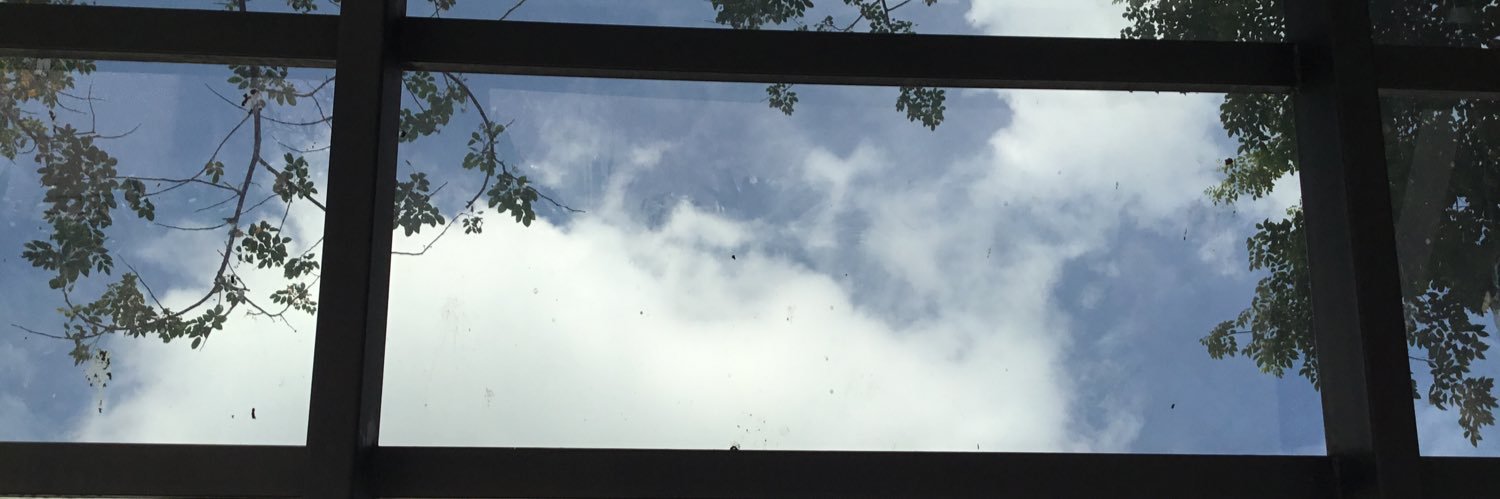 🌸 banner