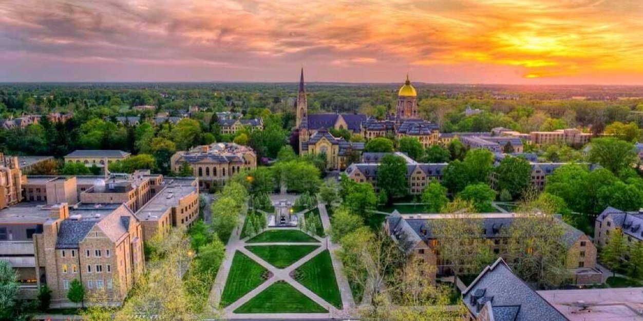 Frank Mezzacappa banner