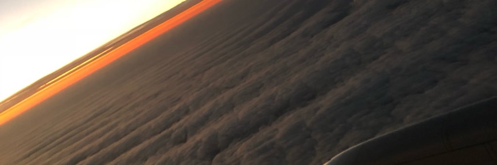 N8FoughtABear's profile banner image