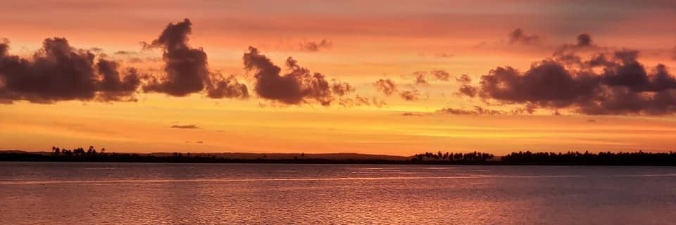 Loree_Andrade's profile banner image