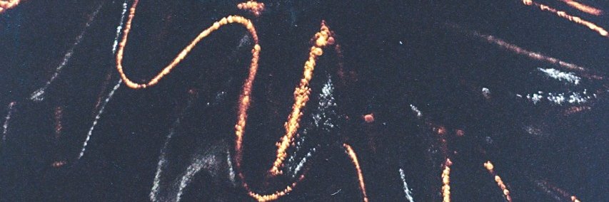 AnisEstrelladaa's profile banner image