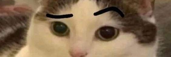 linkantonio1's profile banner image