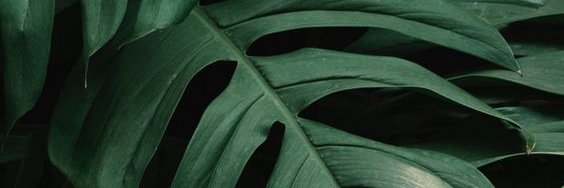 tyasal9_'s profile banner image