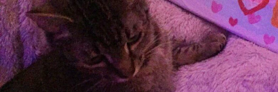 flux like a fairy banner