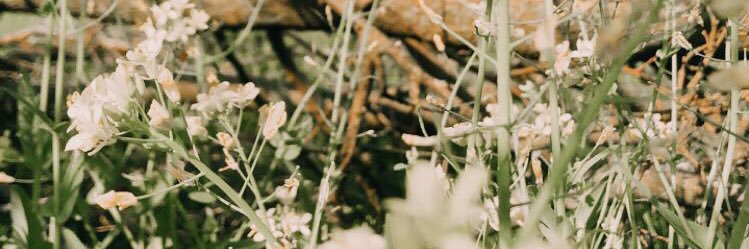 katelynoelle's profile banner image