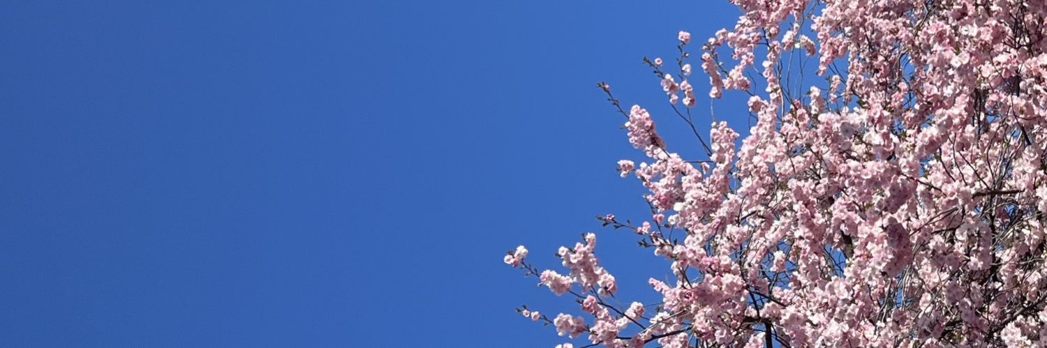 korewareach's profile banner image