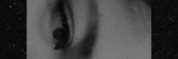 vicejhee's profile banner image