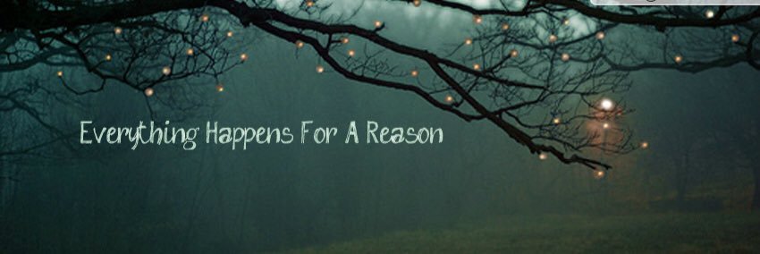 Mnighbert's profile banner image