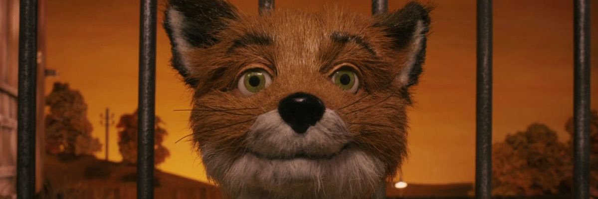 msyedx's profile banner image